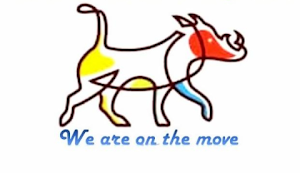 company logo